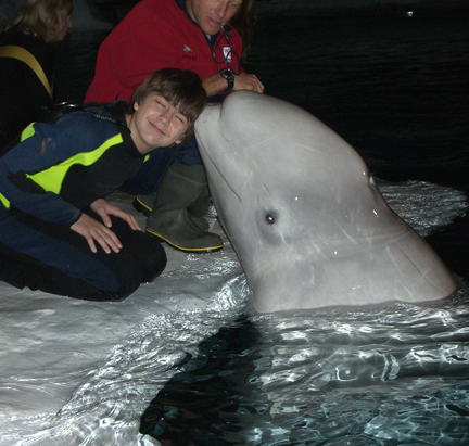 Getting kissed by a beluga whale during our Marine Mammal Keeper Experience at SeaWorld